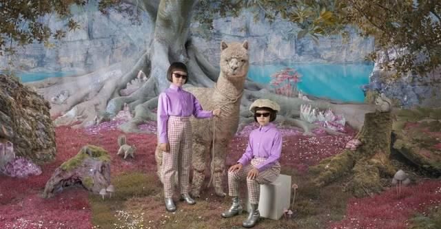 没近视的人戴的眼镜