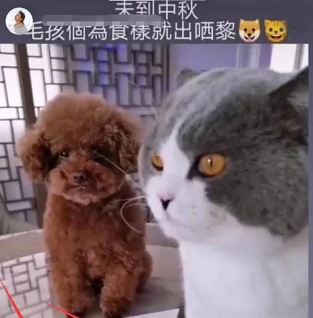 梁洛施所生孩子受器重，频繁回港见面，现女友高调示爱李泽楷