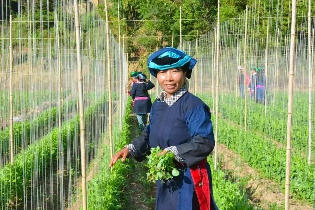 因远的后花园,你不知道太可惜了…