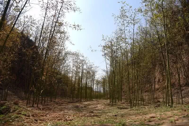 尧京，不仅仅是酒庄，还有春日的乡愁