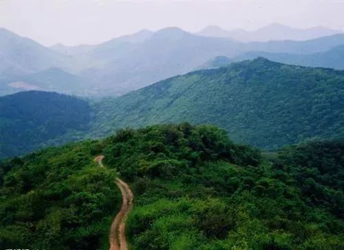 今天调研雨山路板块，4大真相曝光，你还敢在这买房吗?