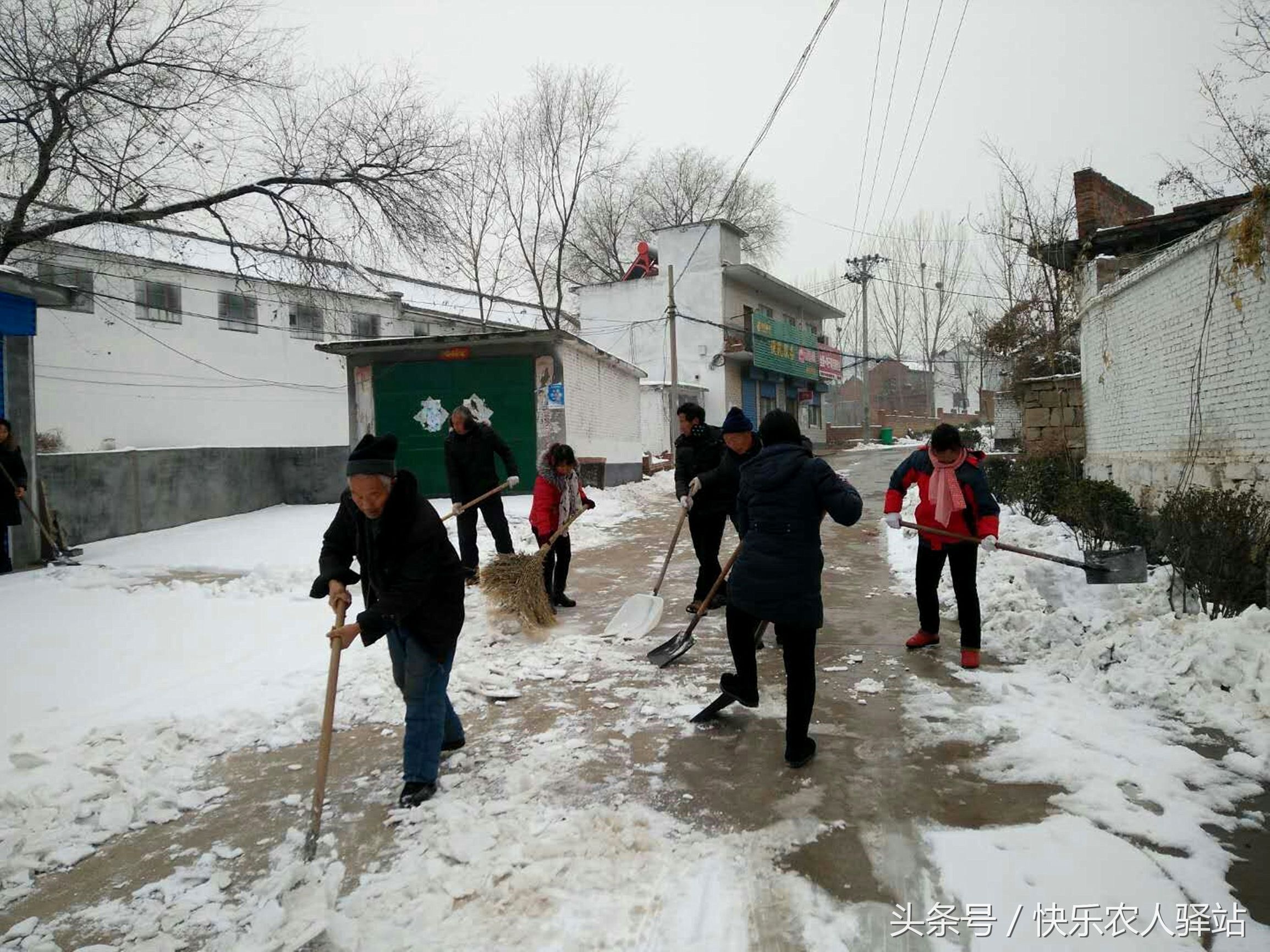 下雪后,农村人最发愁的一件事,突然变得简单了!