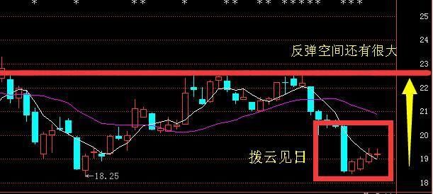 17岁股市奇才豪言:“换手率”才是股市唯一100%获利方法,建议收藏