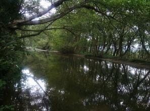 黄山的千年西溪南古村值得一游吗?