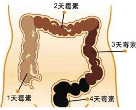 总是放屁的人注意了:身体发出的一种警告,已经出现问题