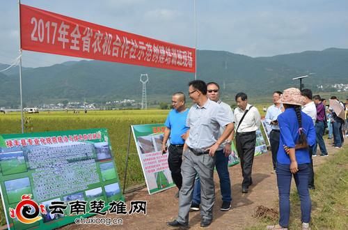 云南省农机合作社示范创建培训会代表观摩中村