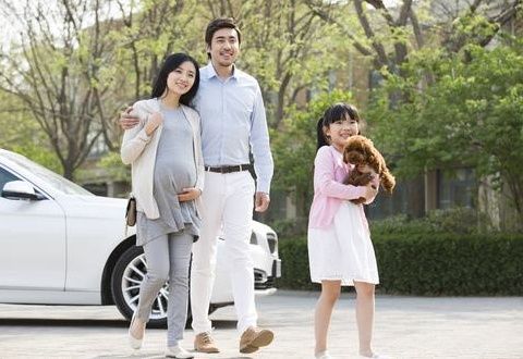 弓形虫极易伤害胎儿,喜欢宠物孕妇注意了,孕前