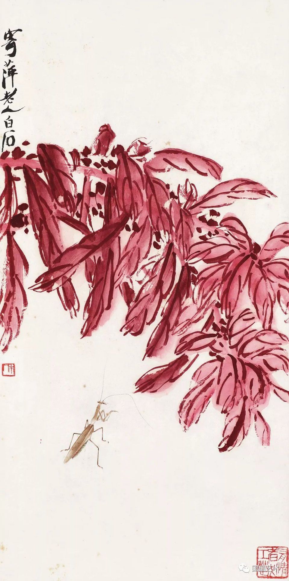 霜叶如花--齐白石雁来红作品北京名士画院 霜叶如花--齐白石雁来红作品北京名士画院