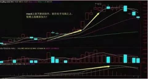 退休操盘手曝光“MACD”技巧，学会连庄家都害怕!散户纷纷点赞!