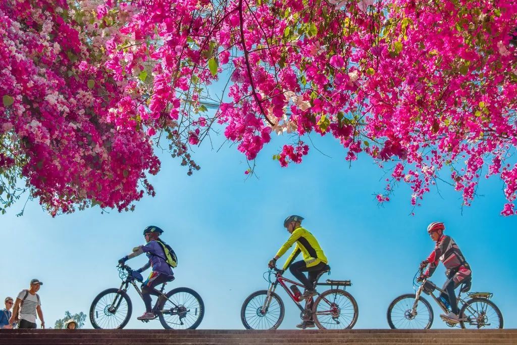 攀枝花创文工作存在哪些困难和问题?下步工作