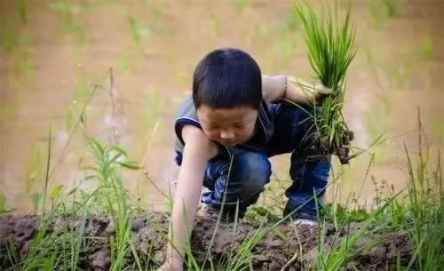 河南农村老乡都看看吧，20年前的老家是这样割麦子的！