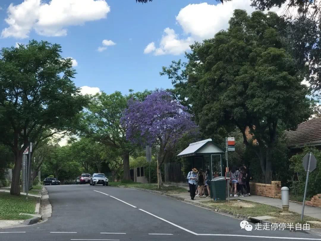 雅思听力租房场景答不好|那是因为你不知道套路这些词汇！