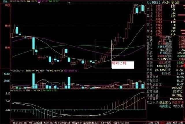 选龙头股方法案例图解