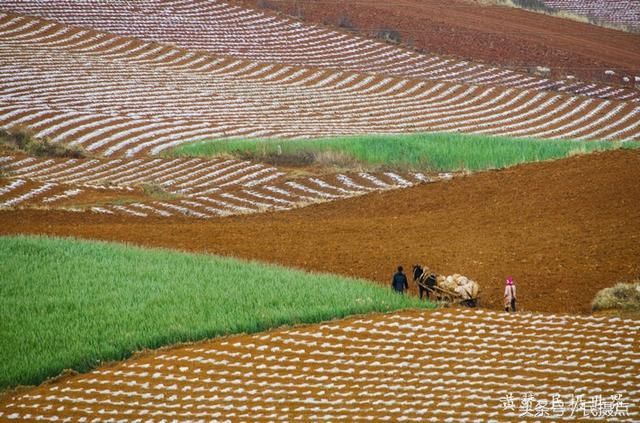 5月的云南美美滴-与大家一同分享云南旅游 摄影的景色