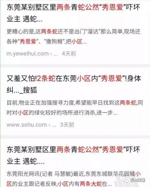 【网警辟谣】泰州某别墅区步道上惊现2条大蛇“秀恩爱”？