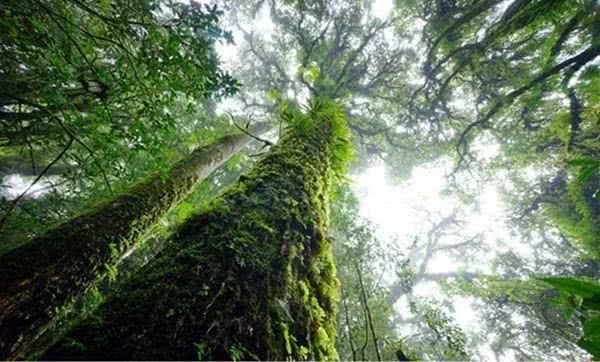 泰国最美国家公园：因他农山