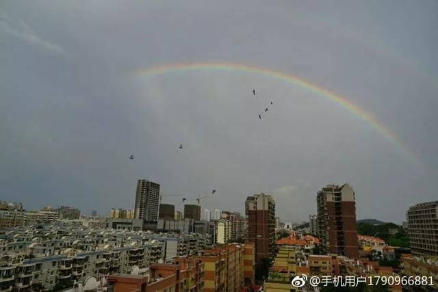 暴雨+雷电！厦门气象台连发预警，大风大雨已到！今晨竟出现了双