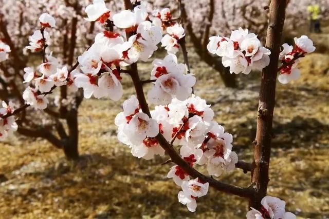 3月最佳旅行地出炉 再别错过了！