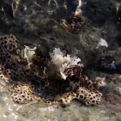 风情俄罗斯，魅力海参崴 俄罗斯休闲三日游小记