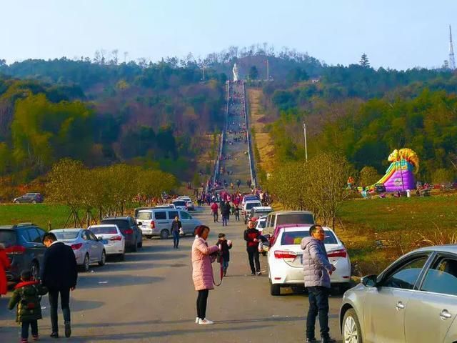 通山县有多少人口_通山县人民医院照片(3)