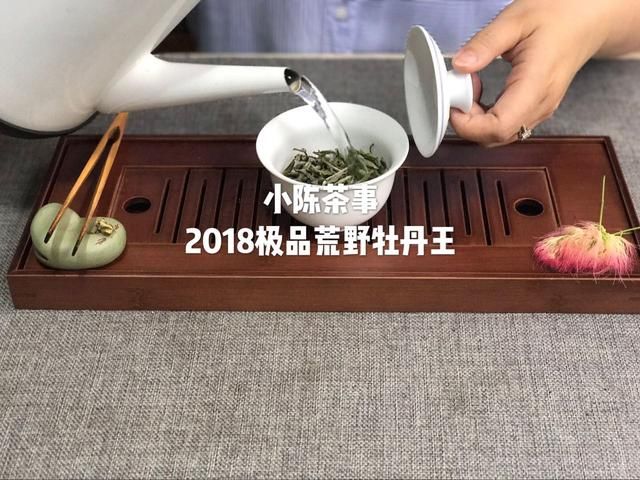 这三个以讹传讹，道听途说的白茶言论，看完你还相信吗？