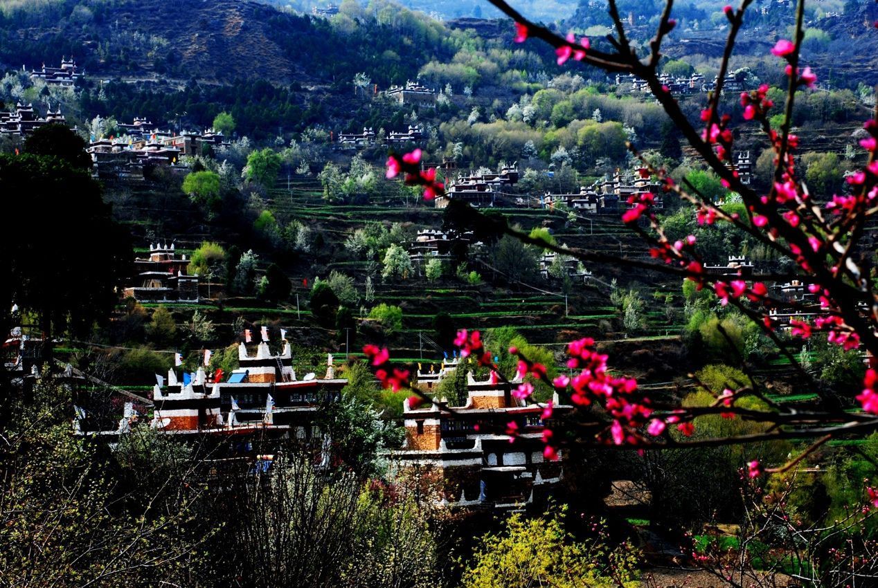 中国最美乡村丹巴 迎来梨花的最佳观赏期