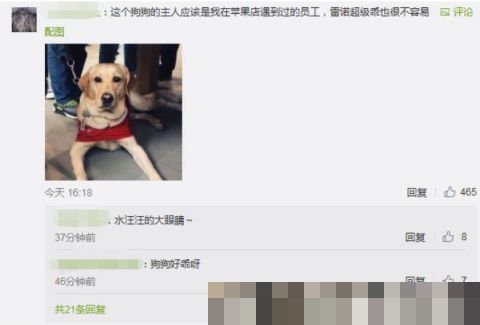 男子地铁不听劝阻多次骚扰导盲犬