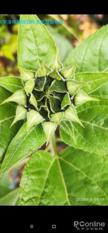 手机QQ标识下有