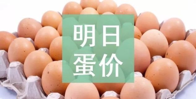 鸡蛋的价格预测
