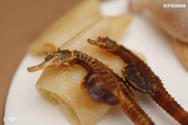 海马的功效与作用及食用方法,太好了