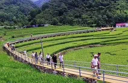 农民工福利!专家教你,如何在家门口赚到钱?