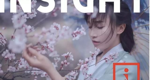 2019年朋友圈年度报告