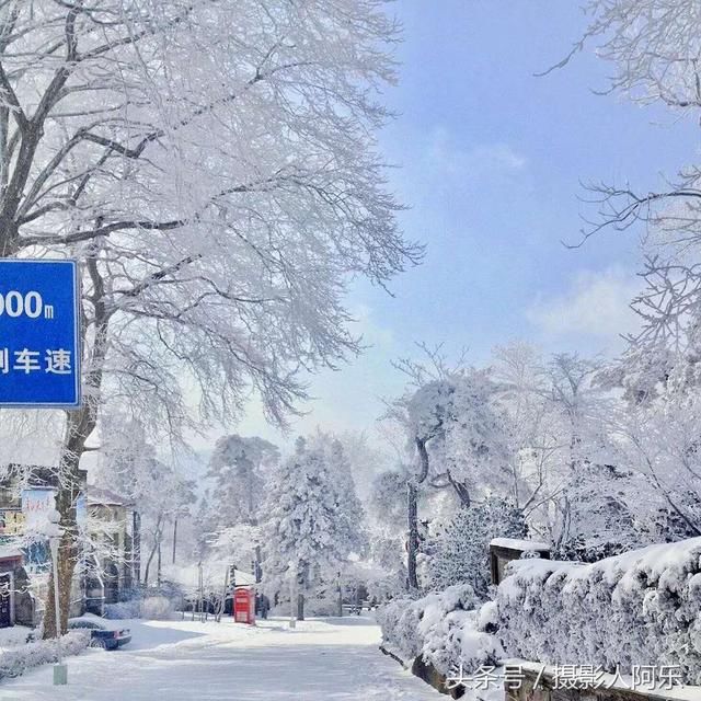 江西下雪了，庐山上的小猴子被美景惊住了