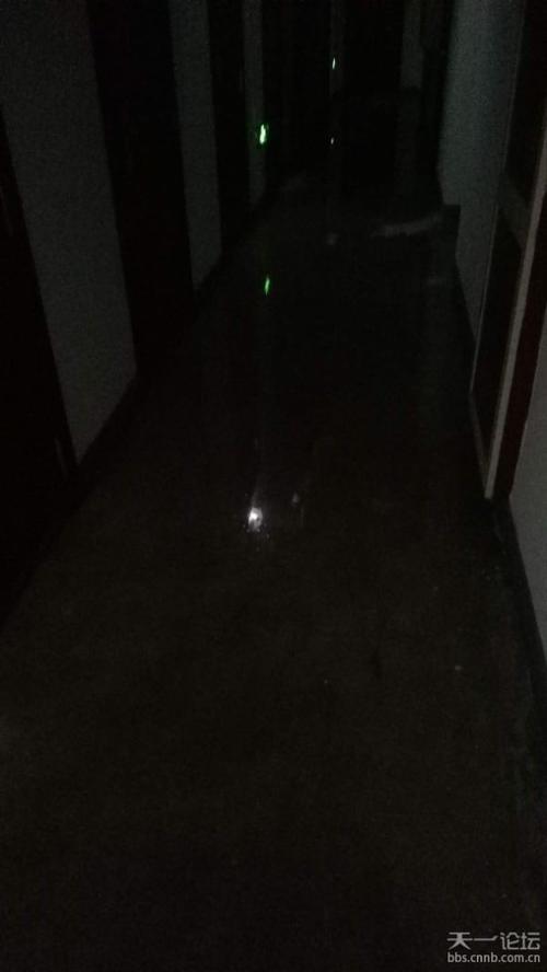 关于骆驼街道盛世华庭地下积水的问题