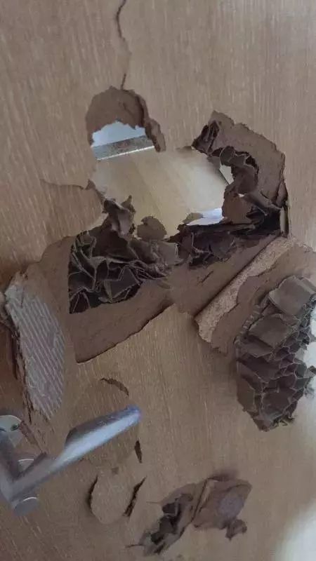 购房者崩溃了!门是纸做的,成本仅500,却收2000\/㎡