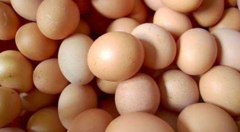 鸡蛋和它一起炒 常吃不便秘 还降血压