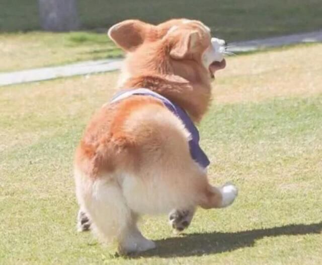 想要你的宝宝拥有一双傲人的大长腿吗?五点误