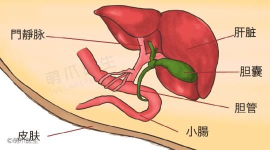 道教医学的人体结构与生理1