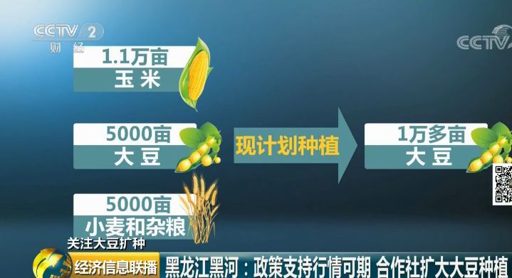 【调查】东北出大招扩种大豆:每亩补贴350元!背后有啥深意?