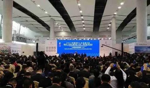 武清参加2017中国海外人才交流会