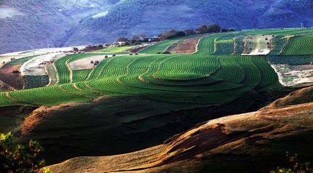 仙鹤居住的地方，昭通大山包，镶嵌在云海里的秘境！