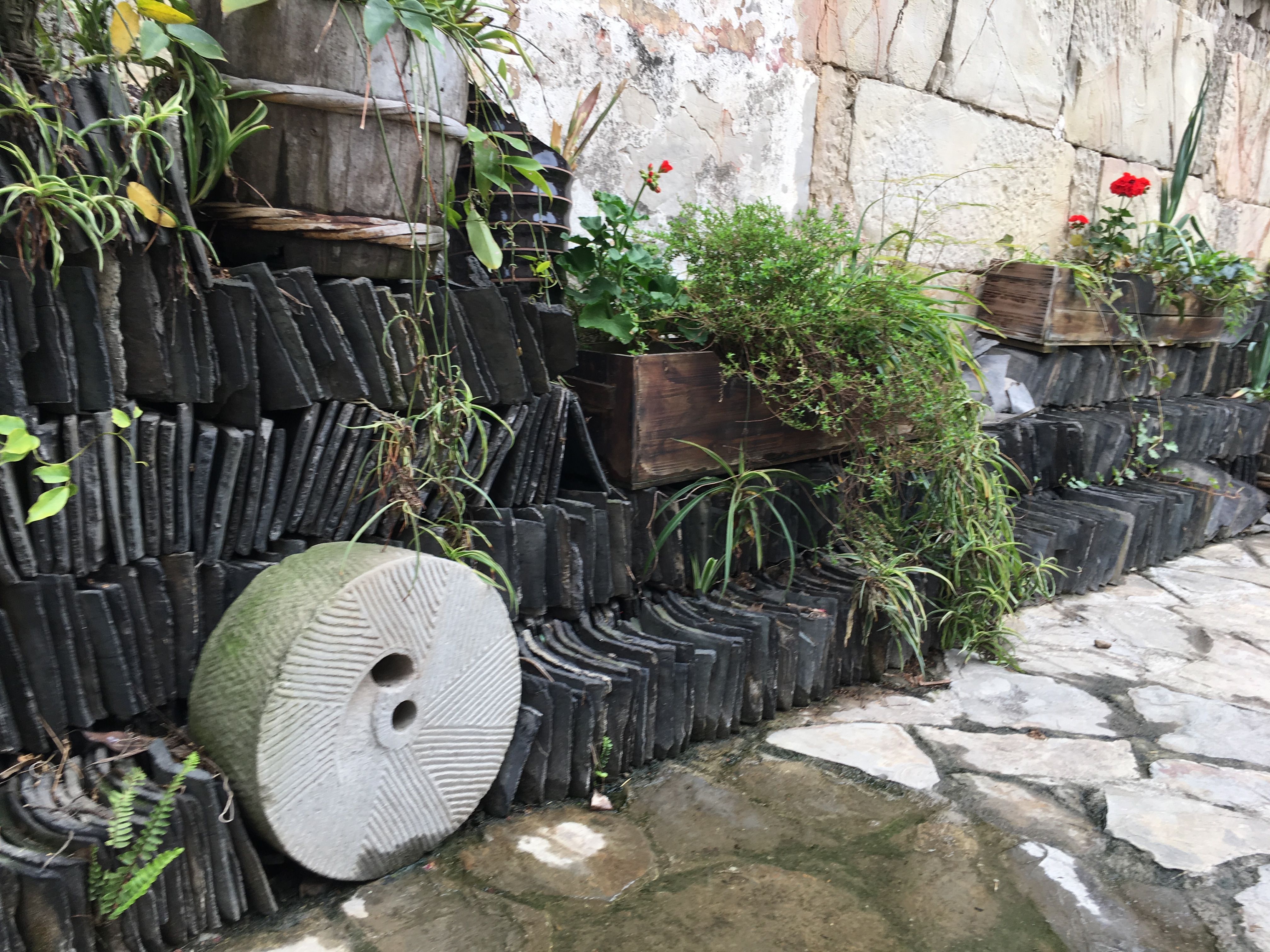 贵阳周边休闲一日游推荐--惠水好花红镇