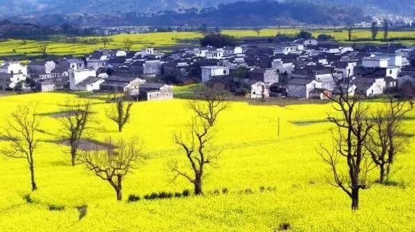 重磅仁科原创：中国房地产的路还有多长