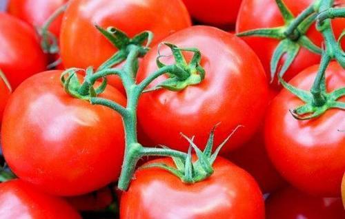 怎么吃,什么时候吃西红柿最利于减肥?