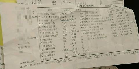 浅谈细菌性v性感社大作真实i性感沙滩pr图片