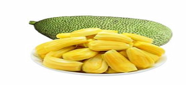 怎么样才能种出菠萝蜜 t0124394857885a6fee.jpg