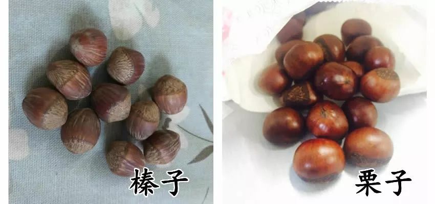 车厘子VS樱桃，奇异果 vs 猕猴桃，这些食物到底哪不同?