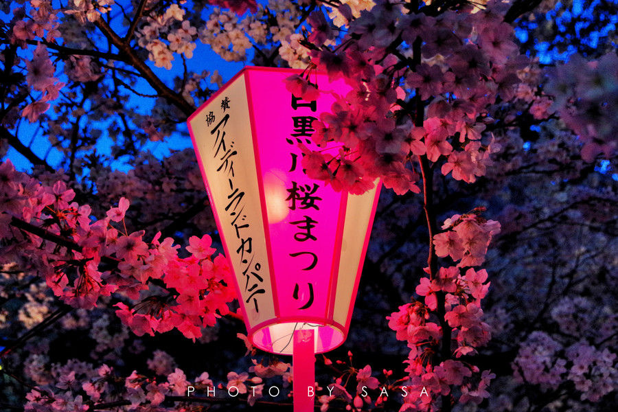 什么时候去日本便宜,几月去日本旅游便宜