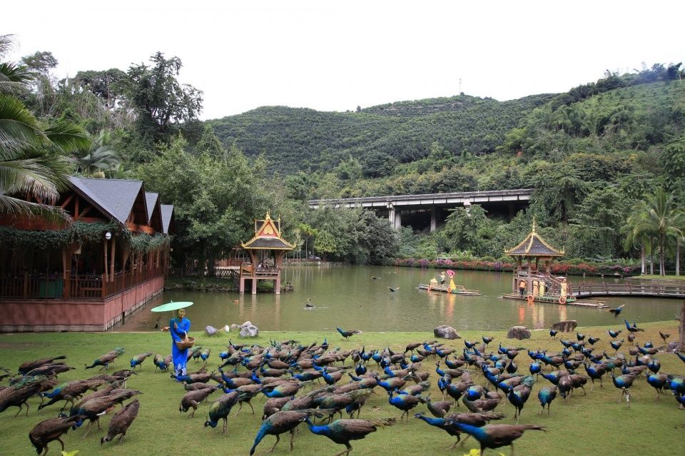 昆明购房经历:旅居炒房，我为什么从上海来版纳买房?