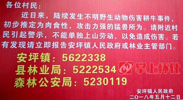 朋友圈小视频盛传怀化凉山“捕杀老虎”？真相在这里……